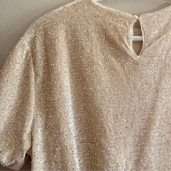 Zara Cream Sequin Beaded Velvet Bubble Cropped Blouse - Picture 12 of 16